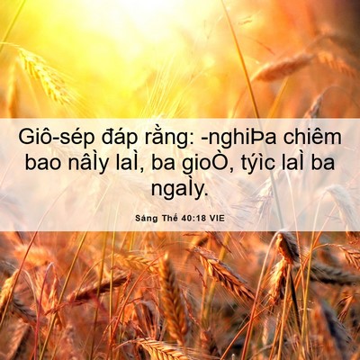 Picture 06 - Sáng Thế 40:18 VIE - Giô-sép đáp rằng: -nghiÞa chiêm bao - Bible Verse Picture