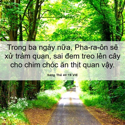 Picture 06 - Sáng Thế 40:19 VIE - Trong ba ngày nữa, Pha-ra-ôn sẽ xử trảm - Bible Verse Picture