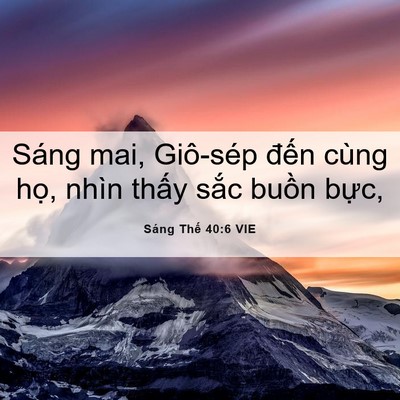 Picture 06 - Sáng Thế 40:6 VIE - Sáng mai, Giô-sép đến cùng họ, nhìn - Bible Verse Picture