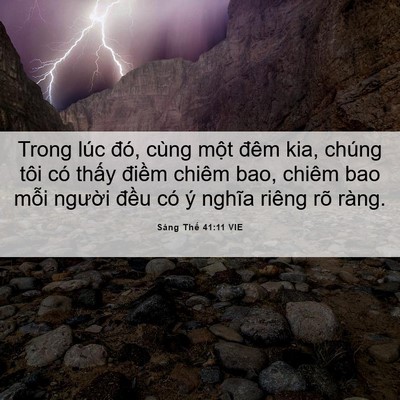 Picture 06 - Sáng Thế 41:11 VIE - Trong lúc đó, cùng một đêm kia, chúng - Bible Verse Picture