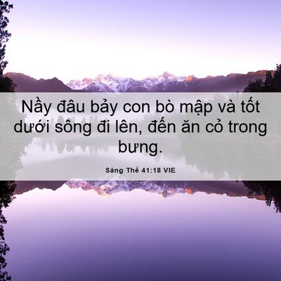 Picture 06 - Sáng Thế 41:18 VIE - Nầy đâu bảy con bò mập và tốt dưới - Bible Verse Picture