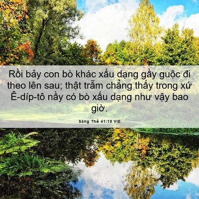 Picture 06 - Sáng Thế 41:19 VIE - Rồi bảy con bò khác xấu dạng gầy - Bible Verse Picture