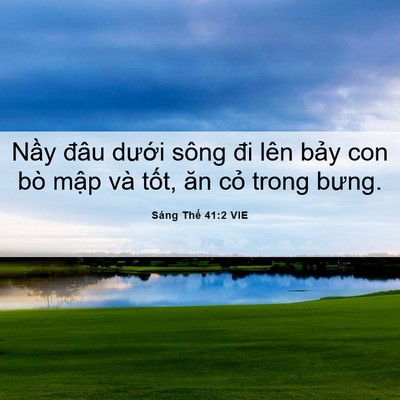 Picture 06 - Sáng Thế 41:2 VIE - Nầy đâu dưới sông đi lên bảy con bò - Bible Verse Picture