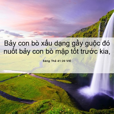 Picture 06 - Sáng Thế 41:20 VIE - Bảy con bò xấu dạng gầy guộc đó - Bible Verse Picture