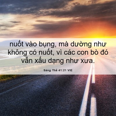 Picture 06 - Sáng Thế 41:21 VIE - nuốt vào bụng, mà dường như không có - Bible Verse Picture