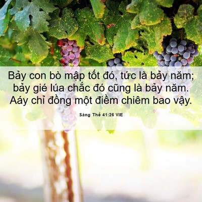 Picture 06 - Sáng Thế 41:26 VIE - Bảy con bò mập tốt đó, tức là bảy - Bible Verse Picture