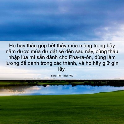 Picture 06 - Sáng Thế 41:35 VIE - Họ hãy thâu góp hết thảy mùa màng - Bible Verse Picture