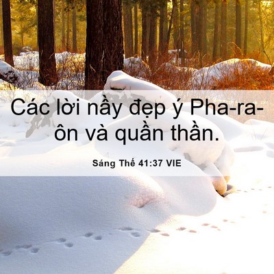 Picture 06 - Sáng Thế 41:37 VIE - Các lời nầy đẹp ý Pha-ra-ôn và quần - Bible Verse Picture