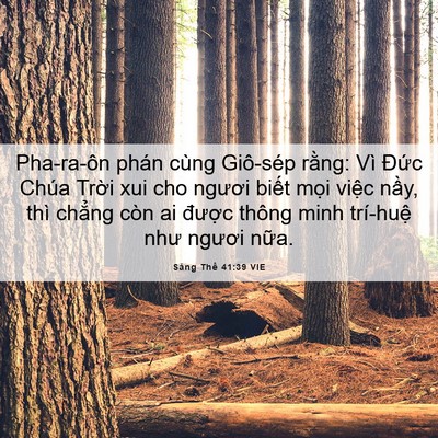 Picture 06 - Sáng Thế 41:39 VIE - Pha-ra-ôn phán cùng Giô-sép rằng: Vì - Bible Verse Picture