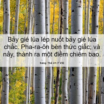 Picture 06 - Sáng Thế 41:7 VIE - Bảy gié lúa lép nuốt bảy gié lúa - Bible Verse Picture