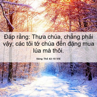 Picture 06 - Sáng Thế 42:10 VIE - Đáp rằng: Thưa chúa, chẳng phải vậy; - Bible Verse Picture