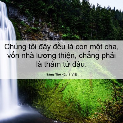 Picture 06 - Sáng Thế 42:11 VIE - Chúng tôi đây đều là con một cha, vốn - Bible Verse Picture