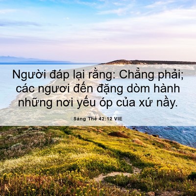 Picture 06 - Sáng Thế 42:12 VIE - Người đáp lại rằng: Chẳng phải; các - Bible Verse Picture