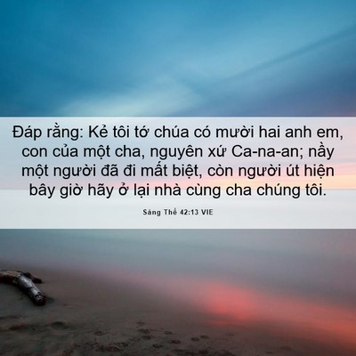 Picture 06 - Sáng Thế 42:13 VIE - Đáp rằng: Kẻ tôi tớ chúa có mười - Bible Verse Picture
