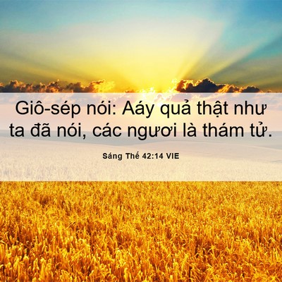 Picture 06 - Sáng Thế 42:14 VIE - Giô-sép nói: Aáy quả thật như ta đã - Bible Verse Picture
