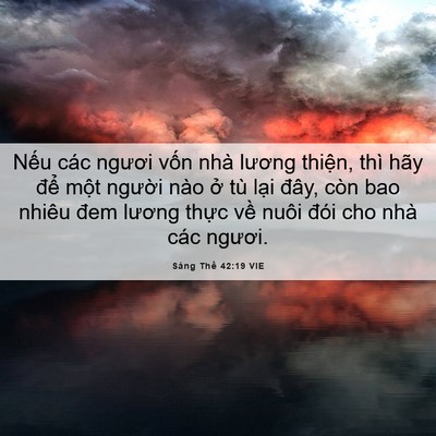Picture 06 - Sáng Thế 42:19 VIE - Nếu các ngươi vốn nhà lương thiện, - Bible Verse Picture