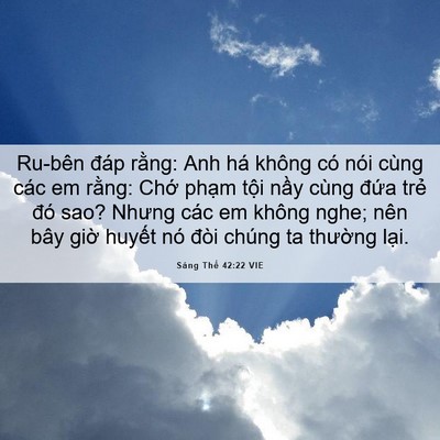 Picture 06 - Sáng Thế 42:22 VIE - Ru-bên đáp rằng: Anh há không có nói - Bible Verse Picture
