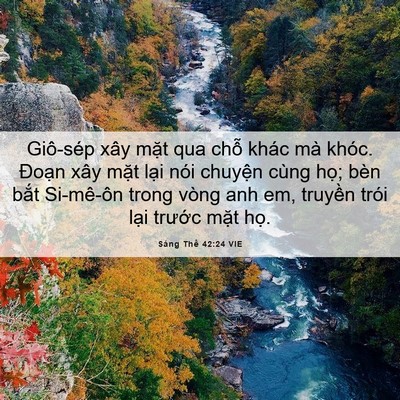 Picture 06 - Sáng Thế 42:24 VIE - Giô-sép xây mặt qua chỗ khác mà khóc. - Bible Verse Picture