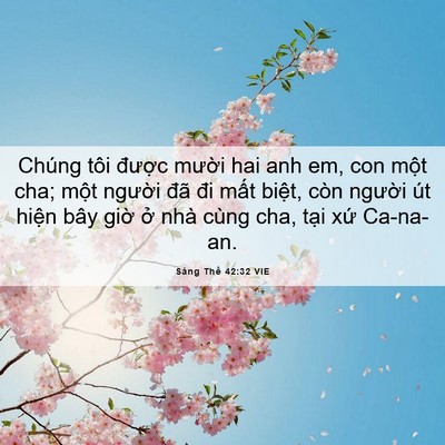 Picture 06 - Sáng Thế 42:32 VIE - Chúng tôi được mười hai anh em, con - Bible Verse Picture