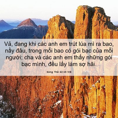 Picture 06 - Sáng Thế 42:35 VIE - Vả, đang khi các anh em trút lúa mì ra - Bible Verse Picture