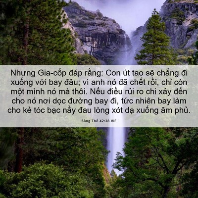 Picture 06 - Sáng Thế 42:38 VIE - Nhưng Gia-cốp đáp rằng: Con út tao sẽ - Bible Verse Picture