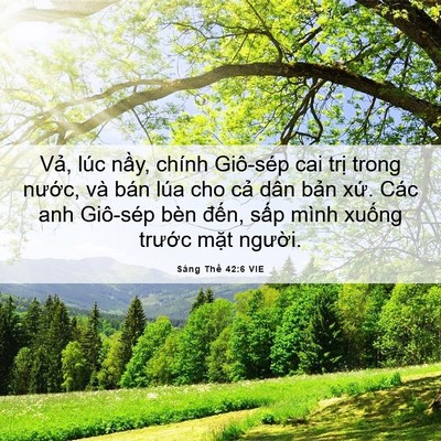 Picture 06 - Sáng Thế 42:6 VIE - Vả, lúc nầy, chính Giô-sép cai trị - Bible Verse Picture