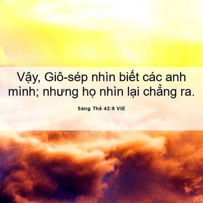 Picture 06 - Sáng Thế 42:8 VIE - Vậy, Giô-sép nhìn biết các anh mình; - Bible Verse Picture