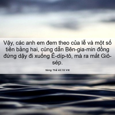 Picture 06 - Sáng Thế 43:15 VIE - Vậy, các anh em đem theo của lễ và một - Bible Verse Picture