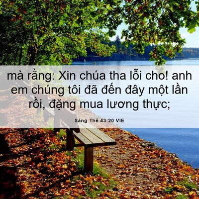 Picture 06 - Sáng Thế 43:20 VIE - mà rằng: Xin chúa tha lỗi cho! anh em - Bible Verse Picture