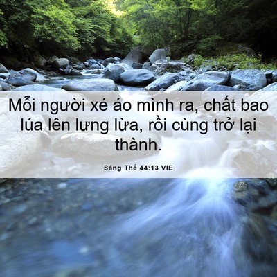 Picture 06 - Sáng Thế 44:13 VIE - Mỗi người xé áo mình ra, chất bao lúa - Bible Verse Picture