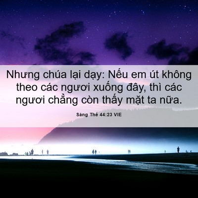 Picture 06 - Sáng Thế 44:23 VIE - Nhưng chúa lại dạy: Nếu em út không - Bible Verse Picture