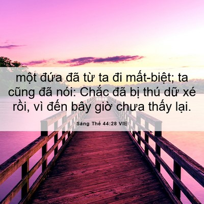 Picture 06 - Sáng Thế 44:28 VIE - một đứa đã từ ta đi mất-biệt; ta - Bible Verse Picture