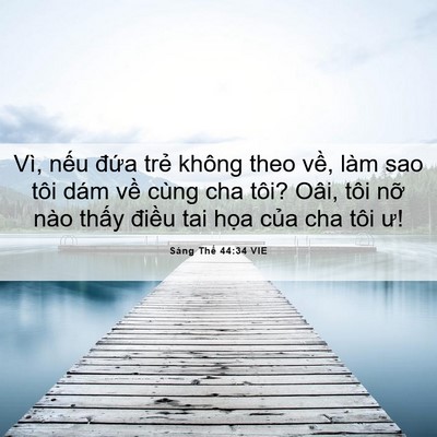 Picture 06 - Sáng Thế 44:34 VIE - Vì, nếu đứa trẻ không theo về, làm - Bible Verse Picture