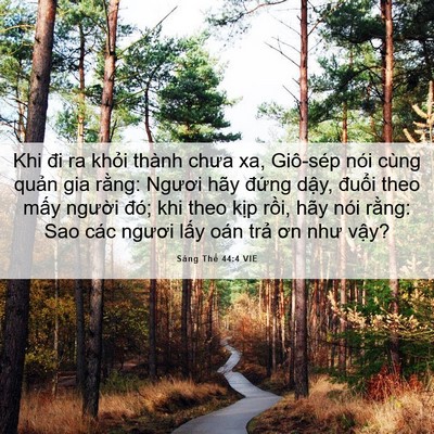 Picture 06 - Sáng Thế 44:4 VIE - Khi đi ra khỏi thành chưa xa, Giô-sép nói - Bible Verse Picture