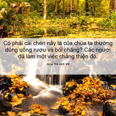 Picture 06 - Sáng Thế 44:5 VIE - Có phải cái chén nầy là của chúa ta - Bible Verse Picture