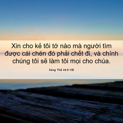 Picture 06 - Sáng Thế 44:9 VIE - Xin cho kẻ tôi tớ nào mà người tìm - Bible Verse Picture