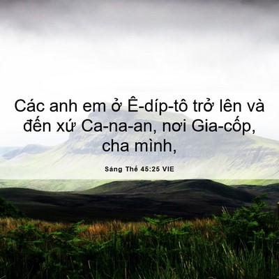 Picture 06 - Sáng Thế 45:25 VIE - Các anh em ở Ê-díp-tô trở lên và đến - Bible Verse Picture