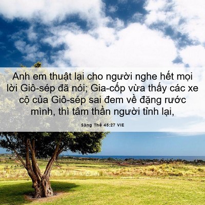 Picture 06 - Sáng Thế 45:27 VIE - Anh em thuật lại cho người nghe hết - Bible Verse Picture