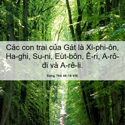 Picture 06 - Sáng Thế 46:16 VIE - Các con trai của Gát là Xi-phi-ôn, Ha-ghi, - Bible Verse Picture