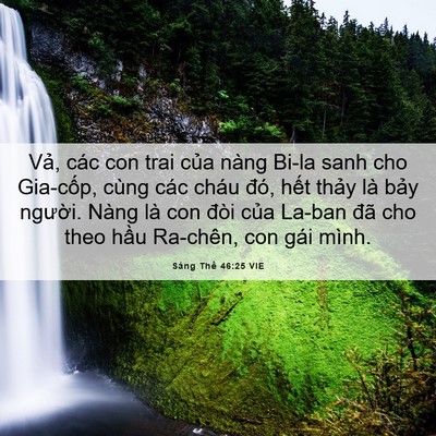 Picture 06 - Sáng Thế 46:25 VIE - Vả, các con trai của nàng Bi-la sanh cho - Bible Verse Picture