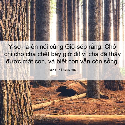 Picture 06 - Sáng Thế 46:30 VIE - Y-sơ-ra-ên nói cùng Giô-sép rằng: Chớ - Bible Verse Picture