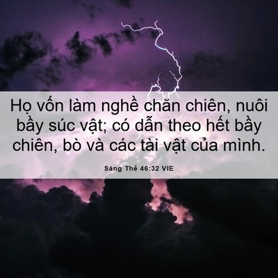 Picture 06 - Sáng Thế 46:32 VIE - Họ vốn làm nghề chăn chiên, nuôi bầy - Bible Verse Picture