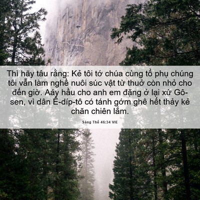 Picture 06 - Sáng Thế 46:34 VIE - Thì hãy tâu rằng: Kẻ tôi tớ chúa cùng - Bible Verse Picture
