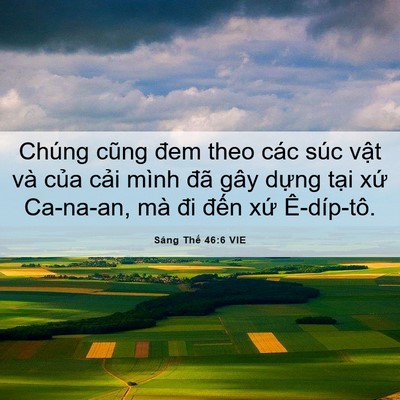 Picture 06 - Sáng Thế 46:6 VIE - Chúng cũng đem theo các súc vật và của - Bible Verse Picture