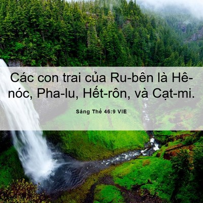 Picture 06 - Sáng Thế 46:9 VIE - Các con trai của Ru-bên là Hê-nóc, Pha-lu, - Bible Verse Picture