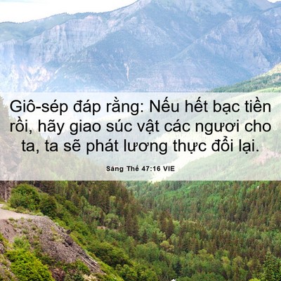 Picture 06 - Sáng Thế 47:16 VIE - Giô-sép đáp rằng: Nếu hết bạc tiền - Bible Verse Picture