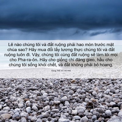 Picture 06 - Sáng Thế 47:19 VIE - Lẽ nào chúng tôi và đất ruộng phải - Bible Verse Picture