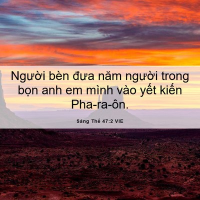 Picture 06 - Sáng Thế 47:2 VIE - Người bèn đưa năm người trong bọn anh - Bible Verse Picture