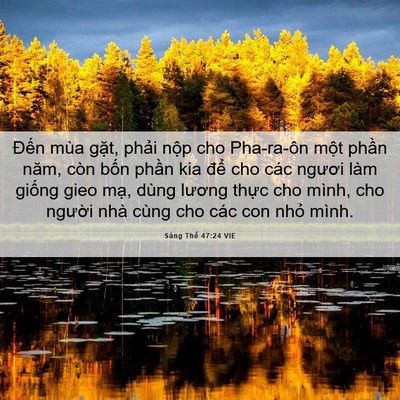 Picture 06 - Sáng Thế 47:24 VIE - Đến mùa gặt, phải nộp cho Pha-ra-ôn - Bible Verse Picture