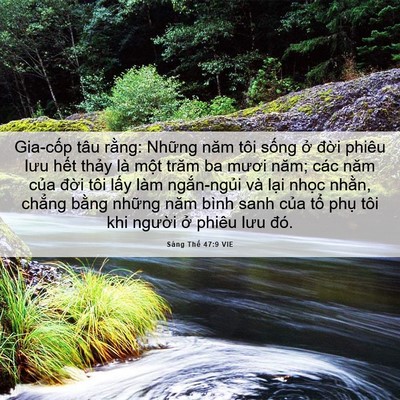 Picture 06 - Sáng Thế 47:9 VIE - Gia-cốp tâu rằng: Những năm tôi sống - Bible Verse Picture
